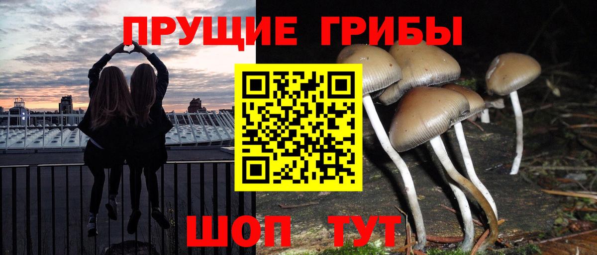 Псилоцибиновые грибы Psilocybine cubensis  Вход с VPN  Нефтекумск 