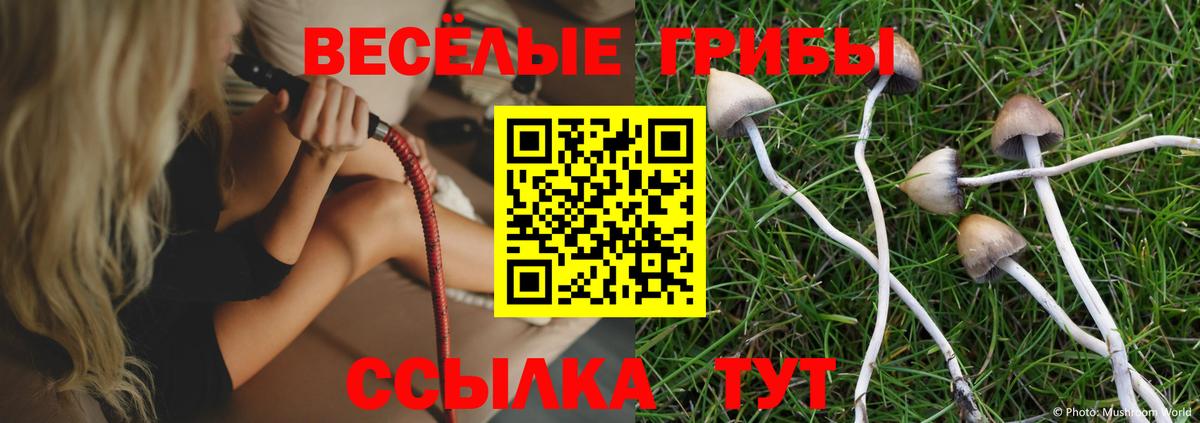 Псилоцибиновые грибы Psilocybine cubensis Нефтекумск